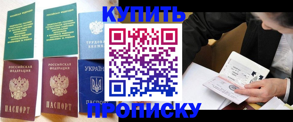 прописка для школы в Камышлове